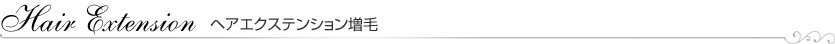 ヘアエクステンション増毛
